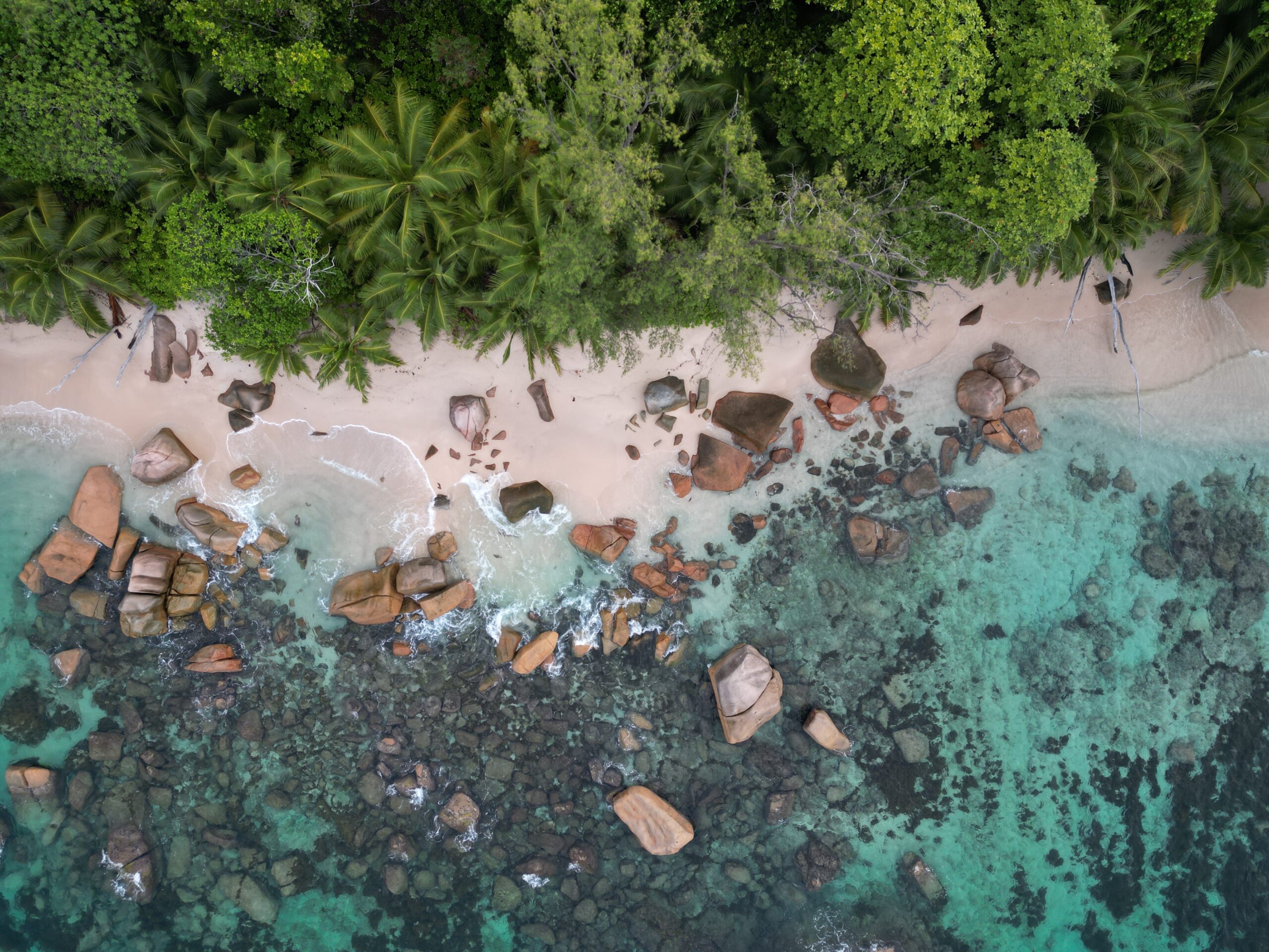 Seychelles · a beach seen from above