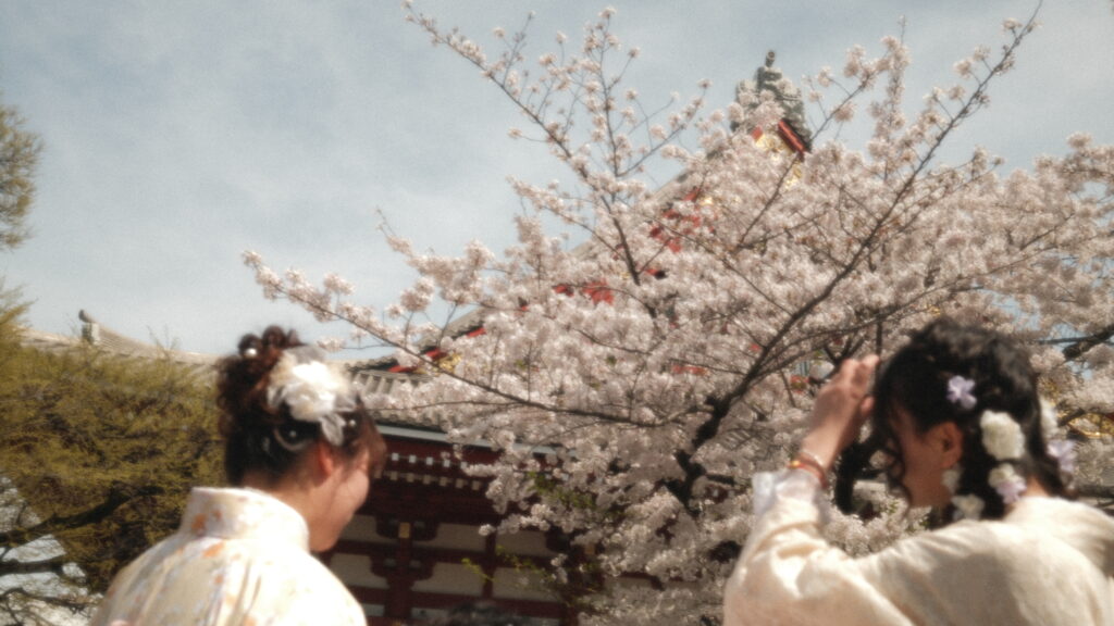 Япония · SAKURA 🌸 — 1